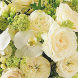 Presumed Innocent - Hand Tied White Bouquet